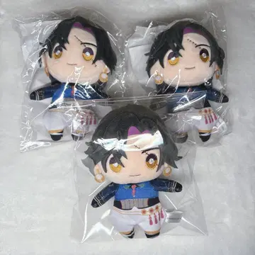 자라 니지누이 묶음 판매