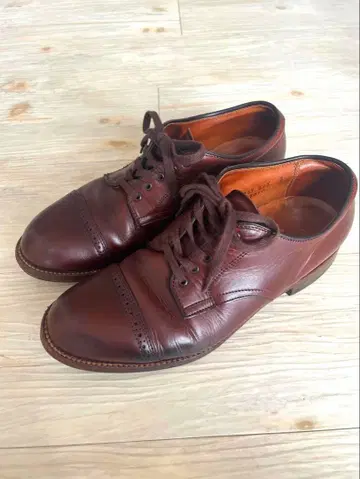 Alden 알든 크롬 엑셀 6.5D 24.5cm