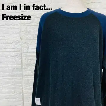 I am I in fact - 울 혼방 니트 스웨터 1161