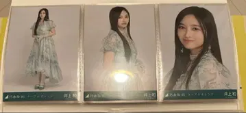 노기자카46 이노우에 와카 네이블 오렌지 브로마이드 컴프