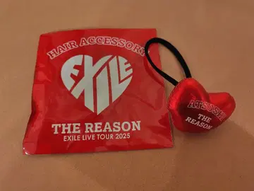 EXILE 헤어 액세서리 하트형 빨간색