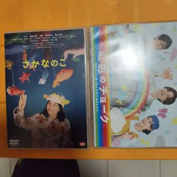 물고기 아이 레인보우 컬러 초크