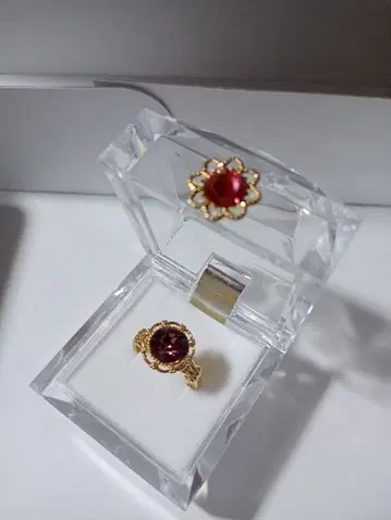 마르베리코 레이스 비쥬얼링