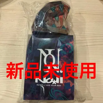 Number. LIVE TOUR 2025 응원봉