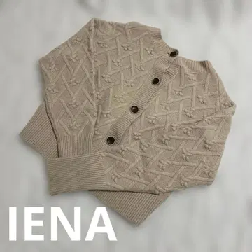 IENA 이에나 핑크 베이지 AQUA 나무 열매 패턴 백 오픈 가디건