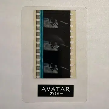 AVATAR 아바타 영화 필름 슬라이드