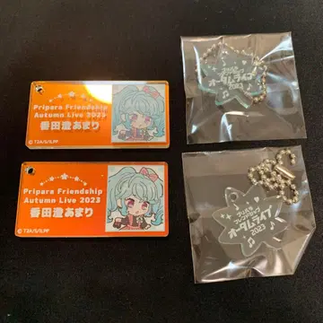 프리파라 아마리 아크릴 참