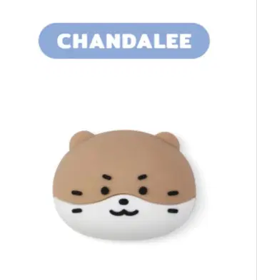 미니틴 디노 마그넷 찬다리