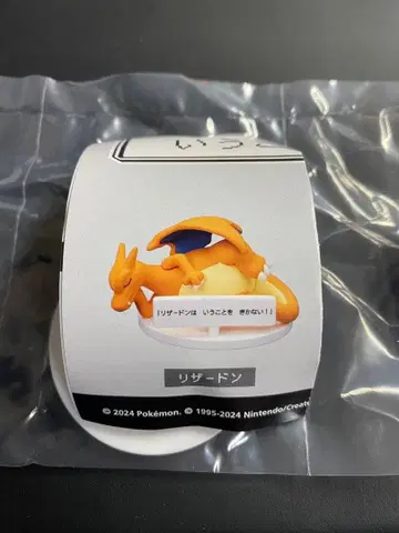 리자몽이 말을 듣지 않아!