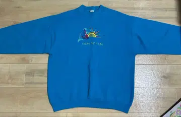 FRUIT OF THE ROOM 파란색 그래픽 프린트 트레이닝복