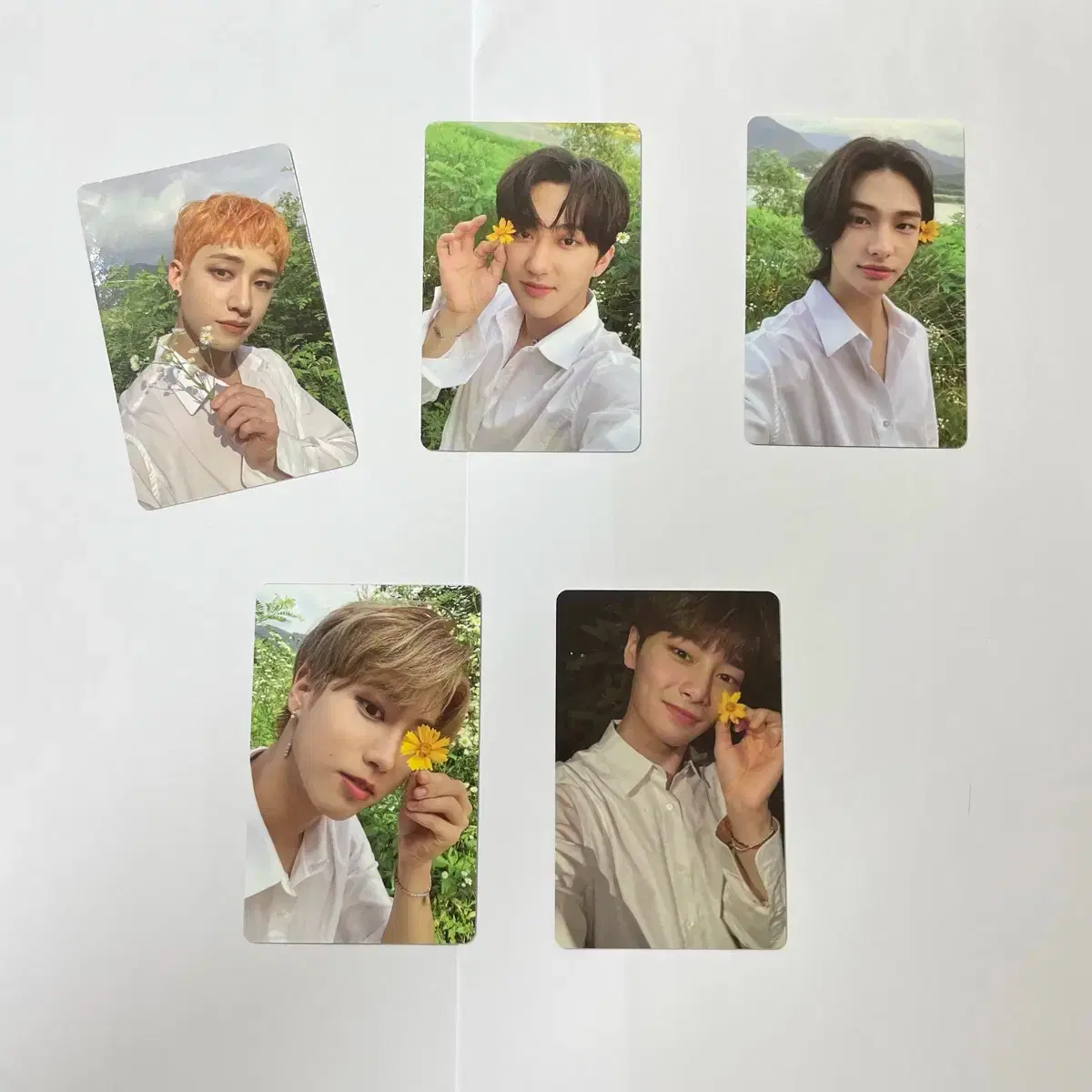 스트레이키즈 스키즈 straykids 노이지 noeasy 소리꾼 한정반