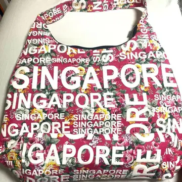 싱가포르 로고 백