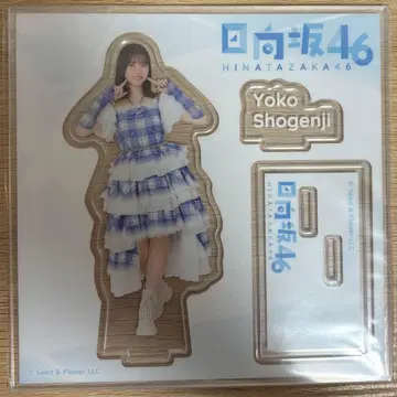 아크릴 스탠드 쇼겐지 요코 히나타자카46 로손 복권