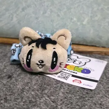 제 고양이 스크런치 카즈하라 류토