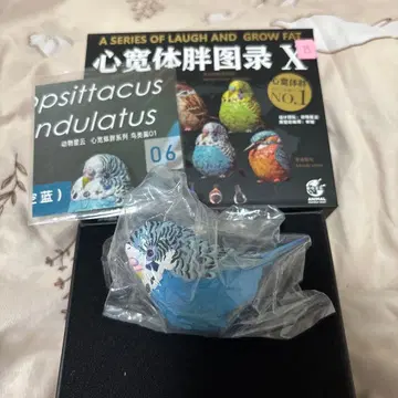 동물의 혹성 잉꼬(파랑)