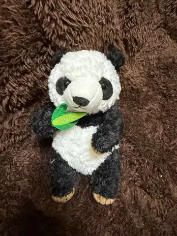 팬더 봉제 인형