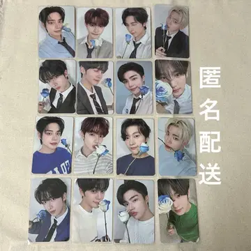 FC 3기 트레이딩 카드 지운 하오 메튜 테레 리키 규빈 건욱 유진