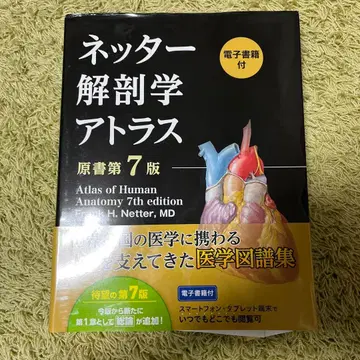 인터넷 해부학 아틀라스 제7판