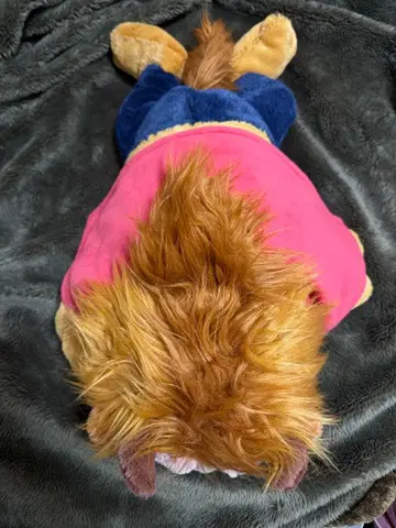 미녀와 야수 봉제 인형 야수