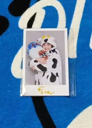 harmoe 홋카이도 투어 특전 미니 사진 이와타 히마리 브로마이드