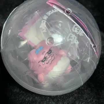 한국 한정판 서티원 빤쮸토끼 31 아이스 피규어 오브제