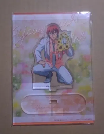 겁쟁이 페달 겁페 아크릴 스탠드 신카이 하야토