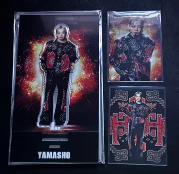 THE REASON 야마모토 쇼고 아크릴 스탠드 포토 카드