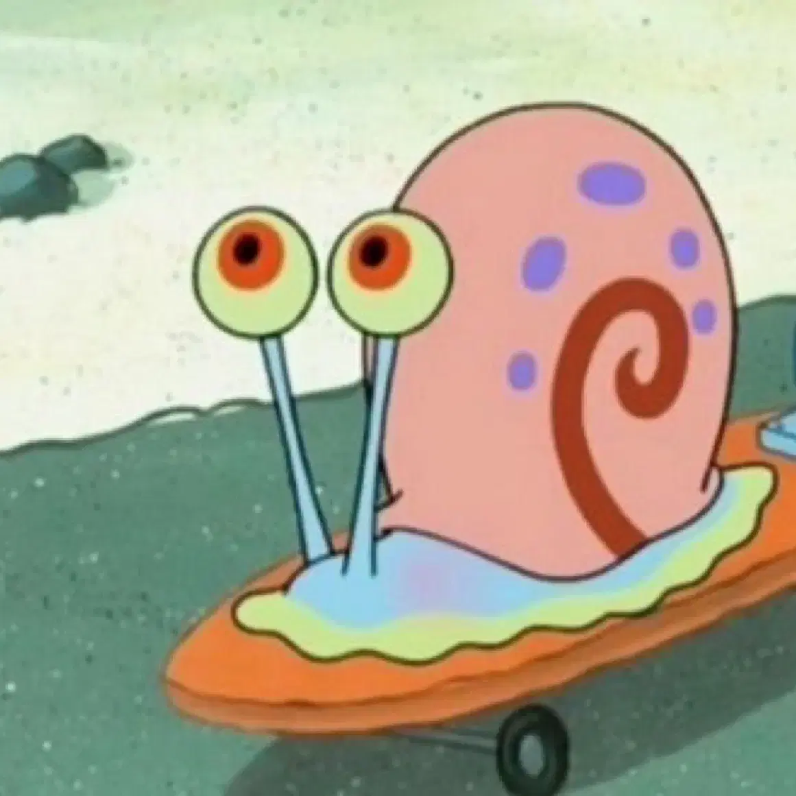 (프로필 필참) 포켓몬 루리리 마릴 핏 fit 인형