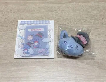 JOCHUM 레인 경질 케이스 & 브로치