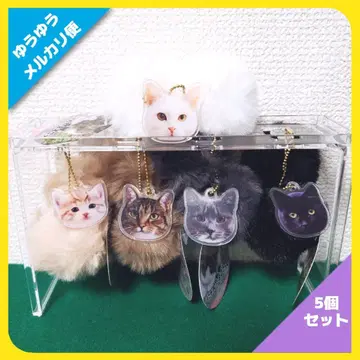 냥타마 스코트 전 5종 세트