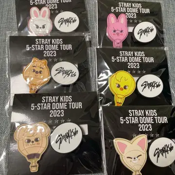 STRAYKIDS 5-STAR 2023 스키즈 skzoo 클립