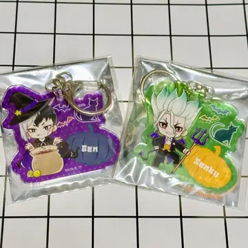 Dr.STONE 프린세스 카페 미니 캐릭터 아크릴 키링 센쿠 겐