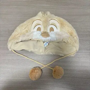 칩과 데일 팬캡 데일