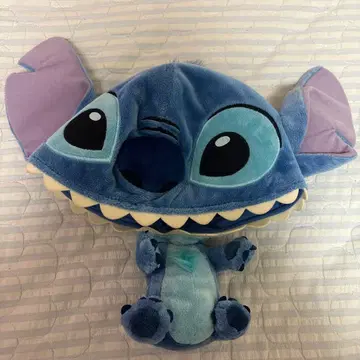 디즈니 스티치 팬캡