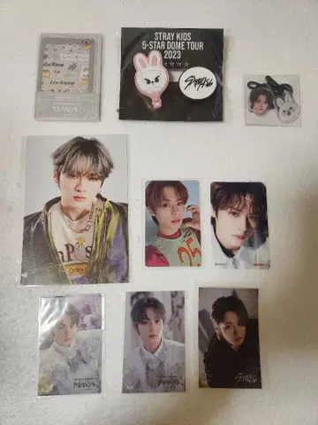 straykids 스키즈 리노 묶음 판매