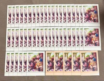 프로세카 4B 특훈 이후  금박 호우 에무