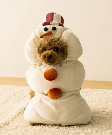 스노우맨 코스 쓰리코인즈 3coins 눈 달마 반려동물 개 크리스마스