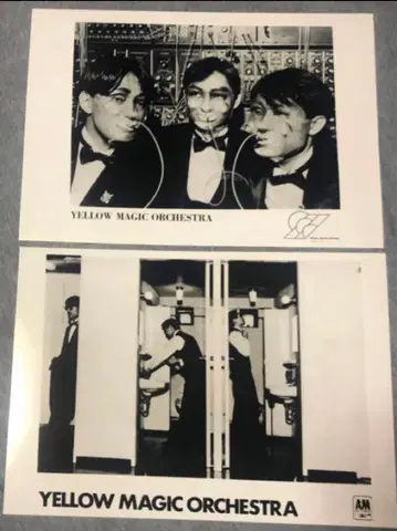 YMO 사진 2장 일괄