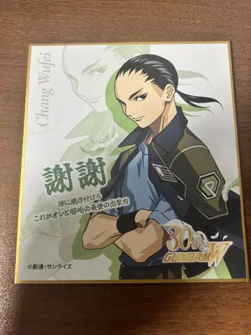 건담 W Endless Waltz 이색지 창 우페이