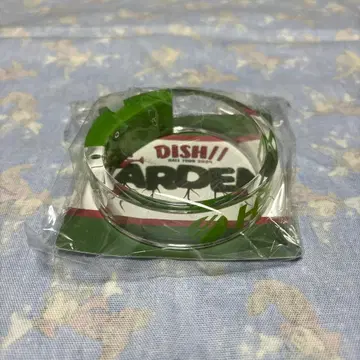 DISH// GARDEN 라이트 뱅글