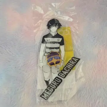 블루 록 전람회 아크릴 스탠드 히바리 린