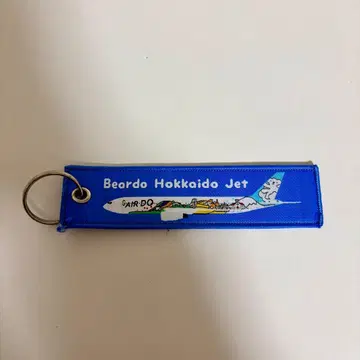 플라이트 택(AIRDO)