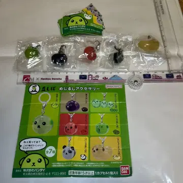 가챠 콩 시바 메지루시 액세서리 5종 세트