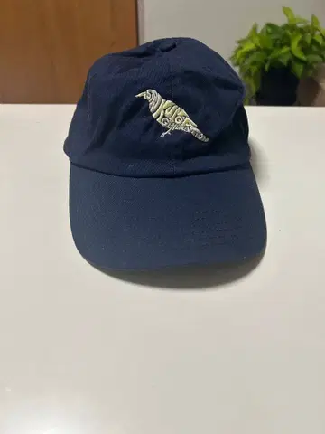 아지칸 캡 모자