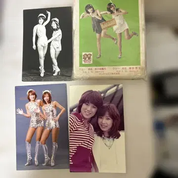 핑크 레이디 프로마이드 3장과 포켓 티슈 2개입