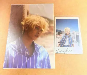 SEVENTEEN 세븐틴 a|1 정한 세트