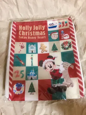 디즈니 크리스마스 미키 미니 수베니어 런치 케이스 릴린린