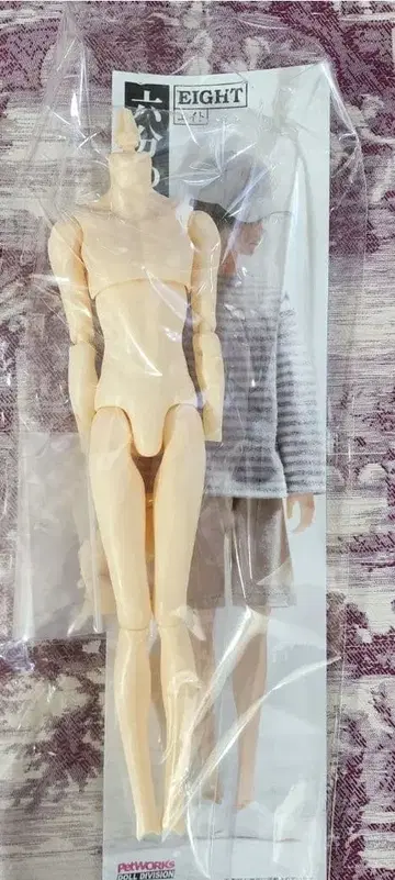 육분의 일 남자 도감 캐주얼 테크 에이트 바디만