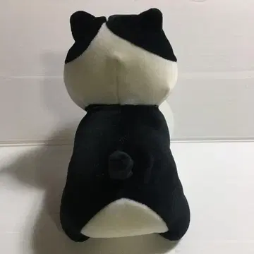 어서 와 소노다 군 하이하이 소노다즈