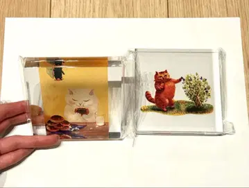 [ 구하기 어려움 ] 카마노 레이코 아크릴 블록 세트